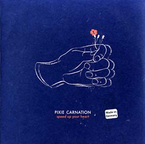 PIXIE CARNATION - 