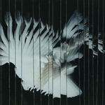 View Product Details