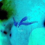 View Product Details