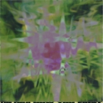 View Product Details