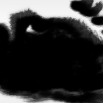 View Product Details