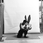 View Product Details