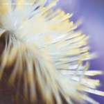 View Product Details