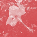 View Product Details